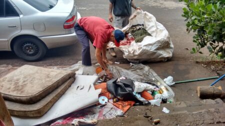 ASELC antes da restruturação